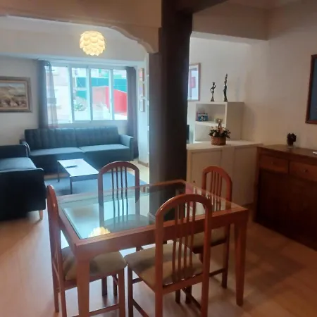 Camelias Centro Vigo