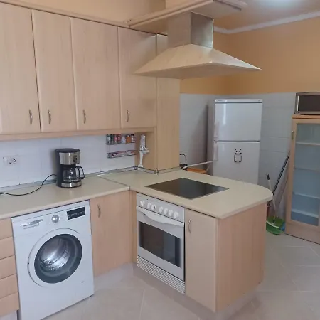 Camelias Centro Vigo