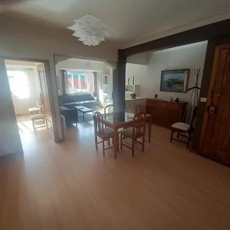 Camelias Centro Vigo