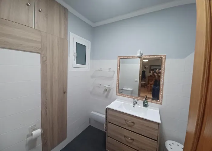 Camelias Centro * Vigo