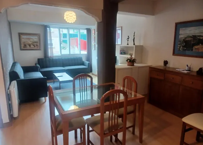 Camelias Centro Vigo