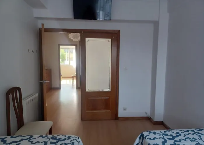 Camelias Centro * Vigo