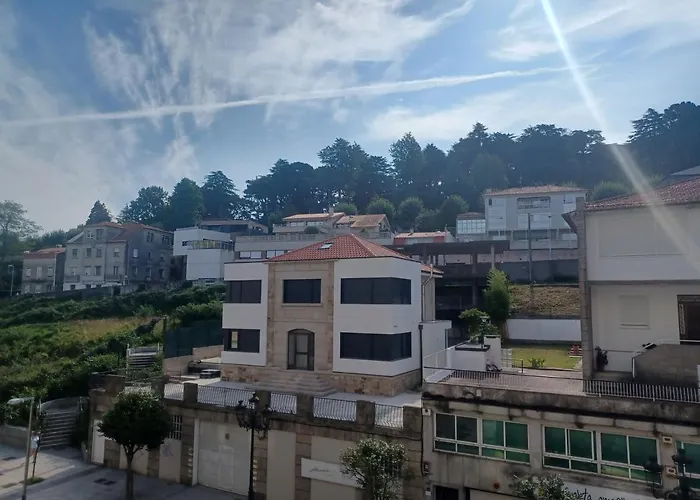 Camelias Centro Vigo