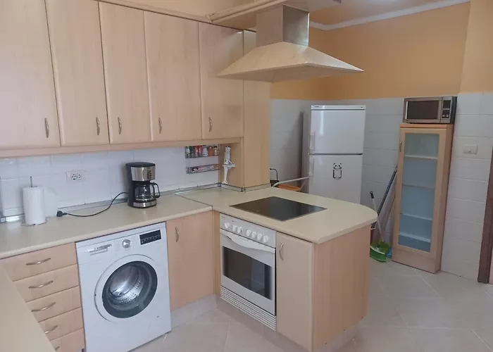 Camelias Centro Vigo