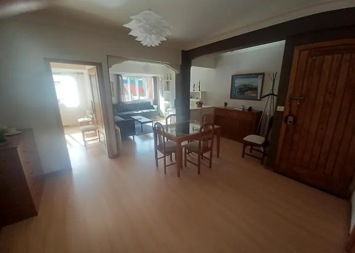 Camelias Centro Vigo