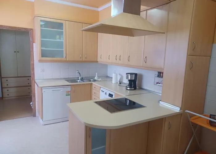 Apartamento Camelias Centro *